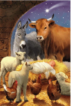 Niño en Pesebre Premium